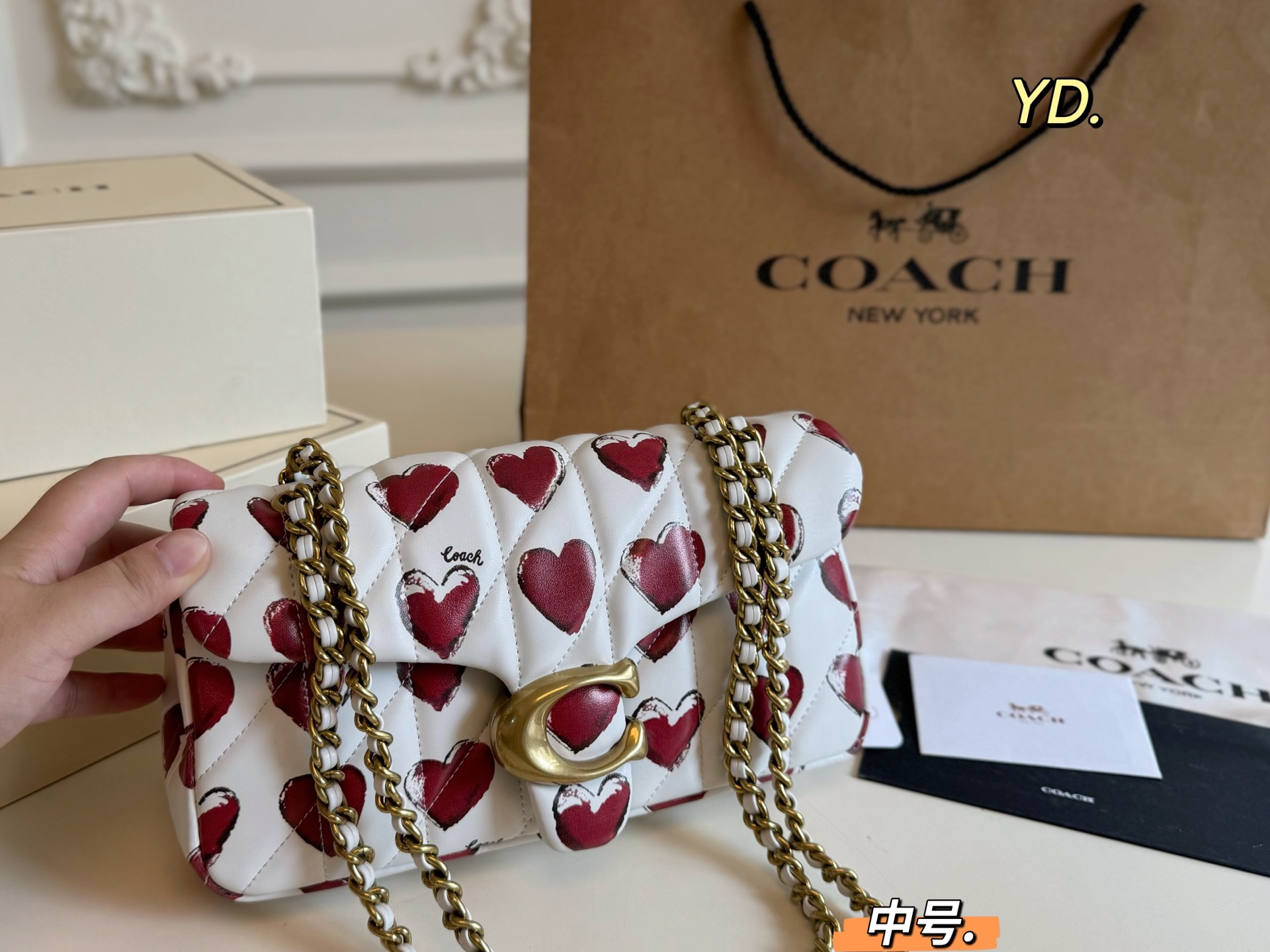 coach bag 223